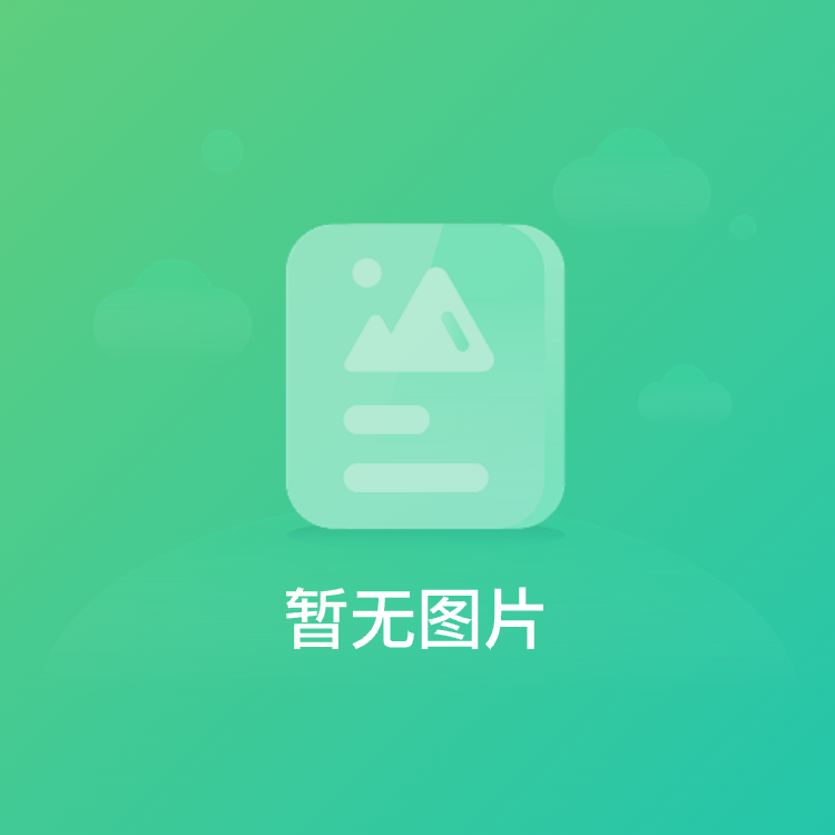 9座商务车（航空座椅）